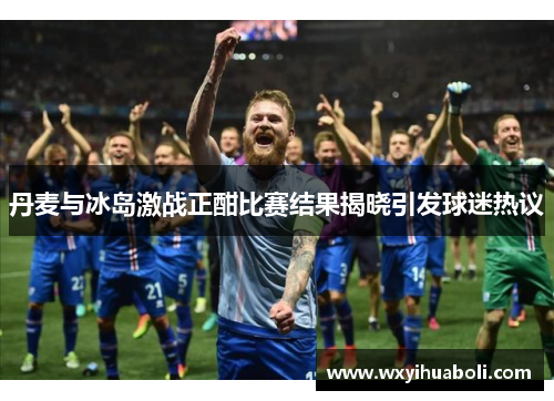 丹麦与冰岛激战正酣比赛结果揭晓引发球迷热议